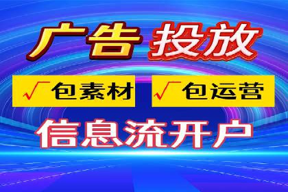 网络营销新篇章：竞价推广案例分析