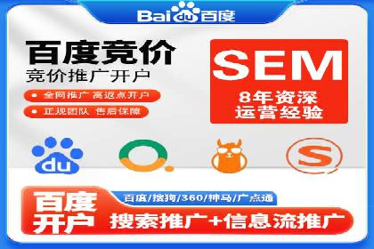行业领先企业的SEM代理案例剖析