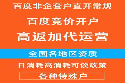 竞价推广实战：成功案例背后的技巧揭秘
